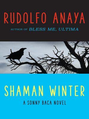 Shaman Winter - ebook